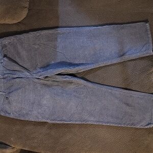 Gray American Eagle Corduroy Pants
